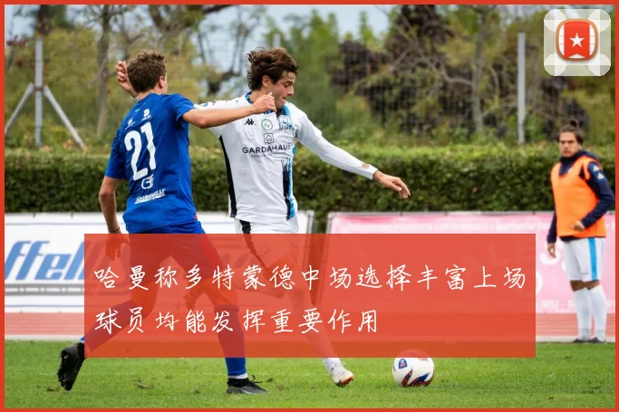 哈曼称多特蒙德中场选择丰富上场球员均能发挥重要作用