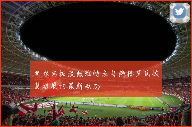 里尔老板谈戴维特点与热格罗瓦恢复进展的最新动态