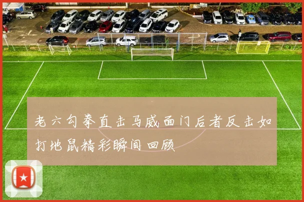 老六勾拳直击马威面门后者反击如打地鼠精彩瞬间回顾