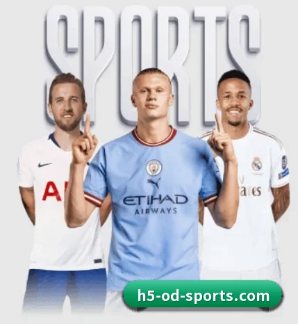 我们在做什么 - Sports